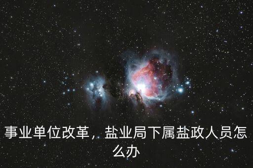 鹽業(yè)改革后職工怎么辦,鹽業(yè)公司如何改革