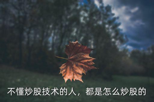 不懂炒股技術(shù)的人，都是怎么炒股的