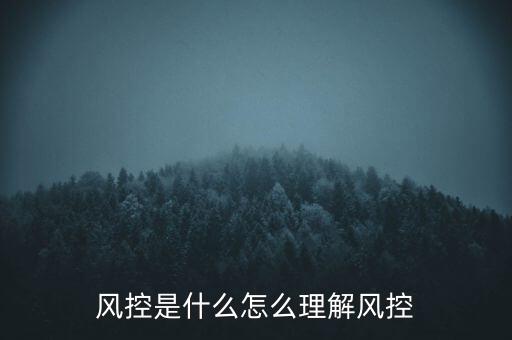 風(fēng)控是什么怎么理解風(fēng)控