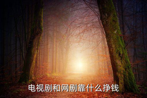 電視劇的收入靠什么,電視劇和網(wǎng)劇靠什么掙錢