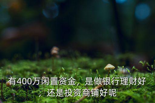 有400萬怎么理財(cái),有400萬閑置資金