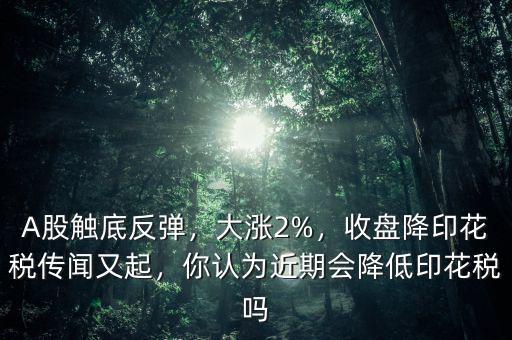 A股觸底反彈，大漲2%，收盤(pán)降印花稅傳聞?dòng)制?，你認(rèn)為近期會(huì)降低印花稅嗎