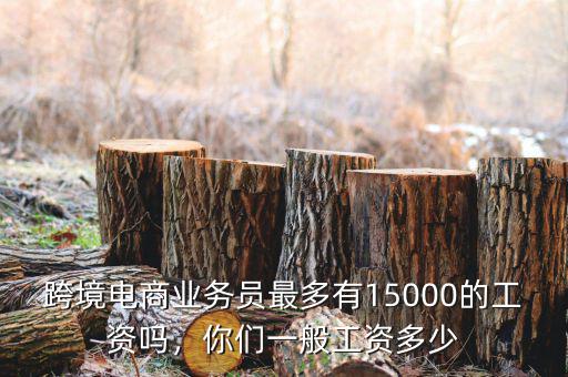 跨境電商業(yè)務(wù)員最多有15000的工資嗎，你們一般工資多少