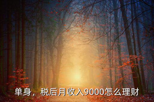 單身，稅后月收入9000怎么理財(cái)