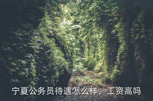 寧夏公務員待遇怎么樣，工資高嗎