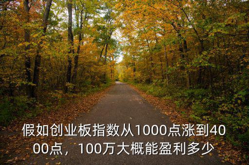 假如創(chuàng)業(yè)板指數(shù)從1000點漲到4000點，100萬大概能盈利多少