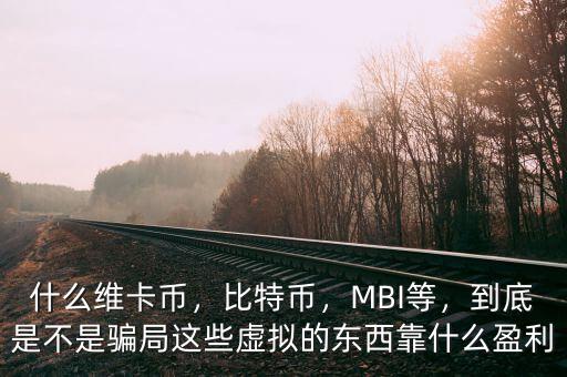 什么維卡幣，比特幣，MBI等，到底是不是騙局這些虛擬的東西靠什么盈利