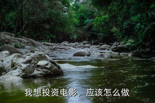 我想投資電影，應(yīng)該怎么做