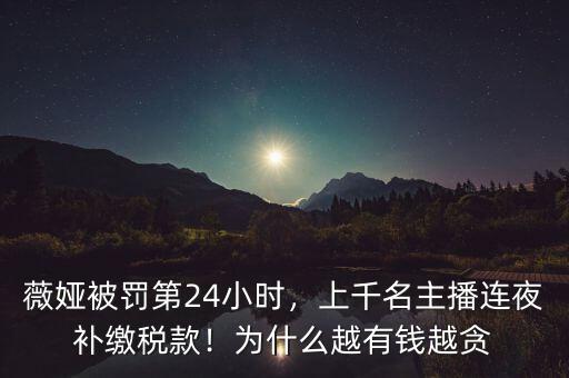 薇婭被罰第24小時，上千名主播連夜補繳稅款！為什么越有錢越貪