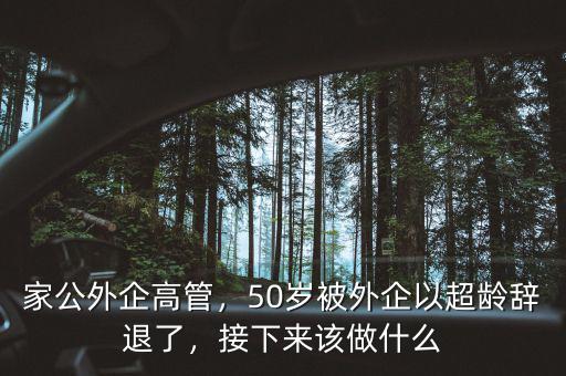 家公外企高管，50歲被外企以超齡辭退了，接下來該做什么