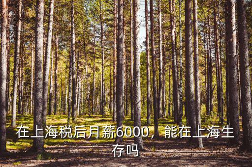 在上海稅后月薪6000，能在上海生存嗎