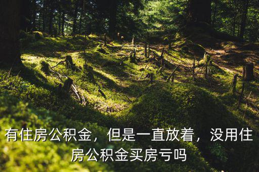 有住房公積金，但是一直放著，沒用住房公積金買房虧嗎