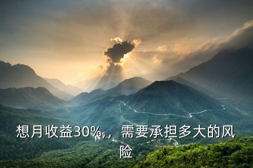 想月收益30%,，需要承擔(dān)多大的風(fēng)險(xiǎn)