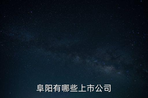 阜陽(yáng)有哪些上市公司