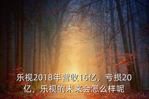 樂視2018年營收16億，虧損20億，樂視的未來會怎么樣呢