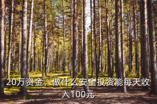 20萬資金，做什么安全投資能每天收入100元