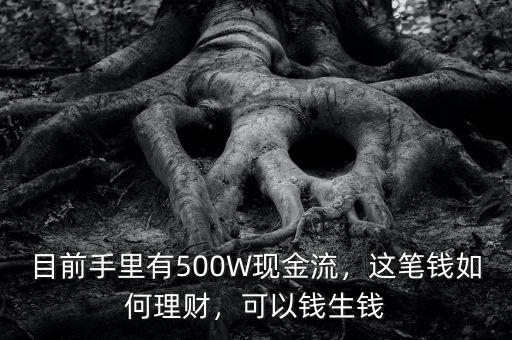 目前手里有500W現(xiàn)金流，這筆錢如何理財，可以錢生錢