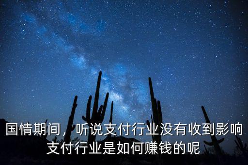 國情期間，聽說支付行業(yè)沒有收到影響支付行業(yè)是如何賺錢的呢