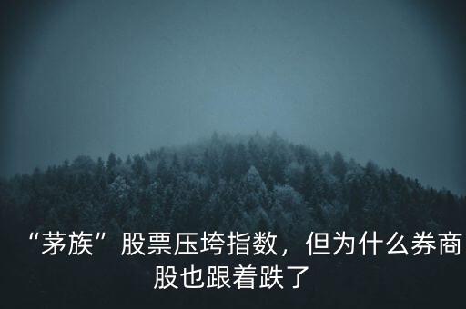 “茅族”股票壓垮指數(shù)，但為什么券商股也跟著跌了