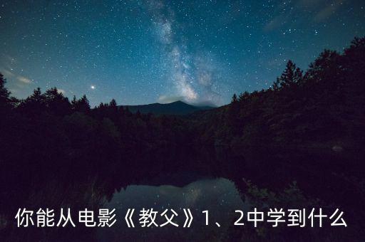 你能從電影《教父》1、2中學(xué)到什么