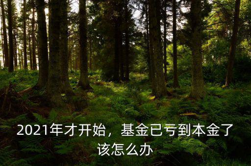 2021年才開始，基金已虧到本金了該怎么辦