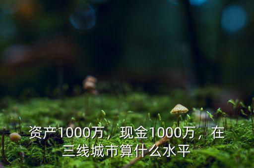 資產(chǎn)1000萬(wàn)，現(xiàn)金1000萬(wàn)，在三線城市算什么水平