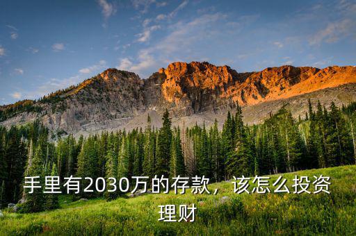 手里有2030萬的存款，該怎么投資理財(cái)