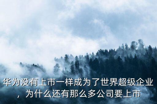 華為沒有上市一樣成為了世界超級企業(yè)，為什么還有那么多公司要上市