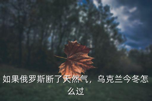 如果俄羅斯斷了天然氣，烏克蘭今冬怎么過(guò)