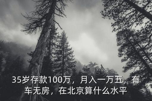 35歲存款100萬，月入一萬五，有車無房，在北京算什么水平