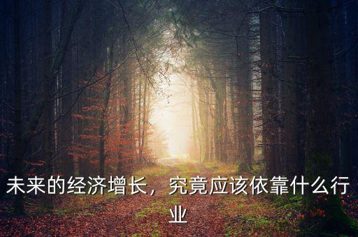 未來中國經(jīng)濟(jì)什么行業(yè)可以,究竟應(yīng)該依靠什么行業(yè)