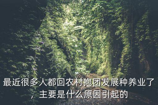 最近很多人都回農(nóng)村抱團發(fā)展種養(yǎng)業(yè)了，主要是什么原因引起的