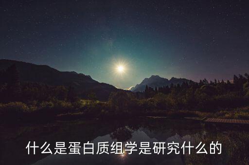 屈冬玉研究什么的,研究紅樓夢的意義是什么