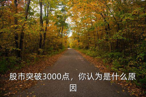 股市突破3000點(diǎn)，你認(rèn)為是什么原因