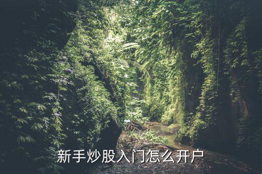 股市怎么開(kāi)戶,新手炒股入門(mén)怎么開(kāi)戶