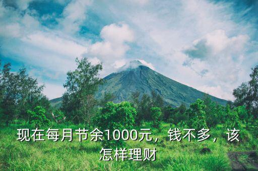 現(xiàn)在每月節(jié)余1000元，錢(qián)不多，該怎樣理財(cái)