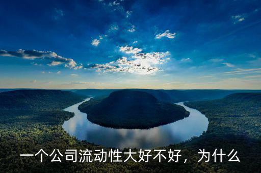 怎么判斷企業(yè)年流動性好不好,一個(gè)公司流動性大好不好