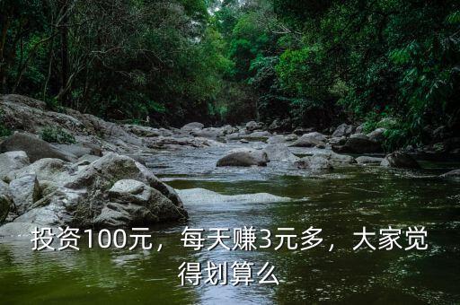 投資100元，每天賺3元多，大家覺得劃算么