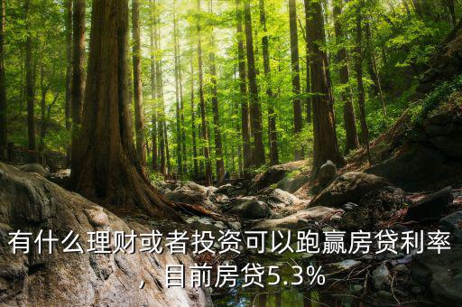 有什么理財(cái)或者投資可以跑贏房貸利率，目前房貸5.3%