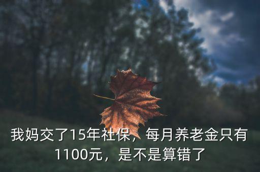 我媽交了15年社保，每月養(yǎng)老金只有1100元，是不是算錯(cuò)了