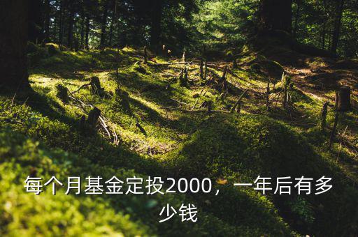 每個月基金定投2000，一年后有多少錢