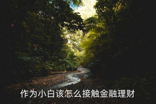 我想要金融理財怎么做,我應(yīng)該怎么做金融生意好