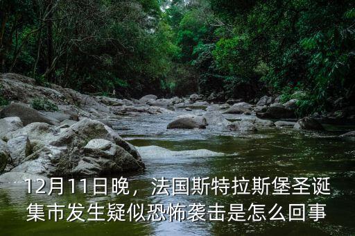 12月11日晚，法國斯特拉斯堡圣誕集市發(fā)生疑似恐怖襲擊是怎么回事