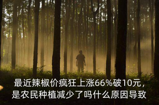 最近辣椒價(jià)瘋狂上漲66%破10元，是農(nóng)民種植減少了嗎什么原因?qū)е? class=