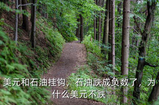 美元和石油掛鉤，石油跌成負(fù)數(shù)了，為什么美元不跌