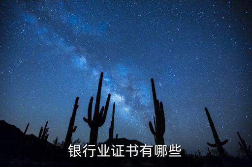 銀行需要什么證書,有什么建議嗎