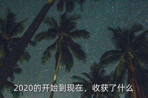 2020的開始到現(xiàn)在，收獲了什么