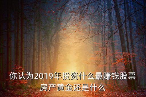 你認為2019年投資什么最賺錢股票房產(chǎn)黃金還是什么