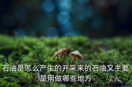 原油怎么來的,石油是怎么產(chǎn)生的