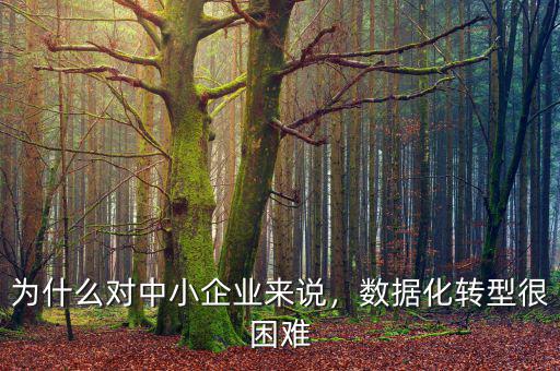 為什么對中小企業(yè)來說，數(shù)據(jù)化轉(zhuǎn)型很困難